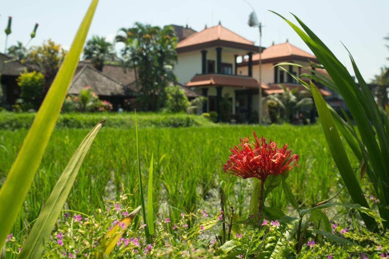 Puji Hostel And Bungalow Ubud 외부 사진